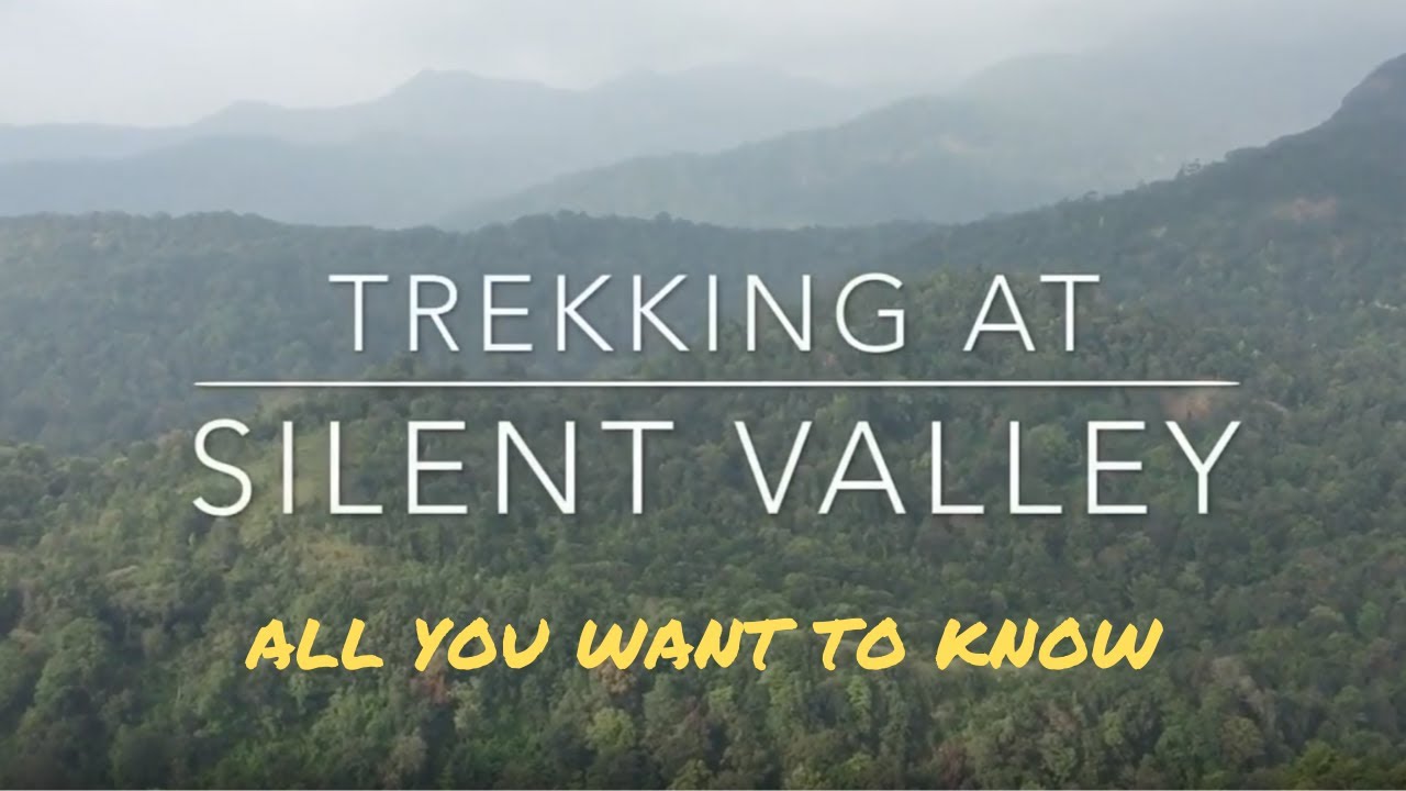 Silent Valley jeep trekking- all you want to know | One-day trips in Palakkad | Jeep trekking | Grey
