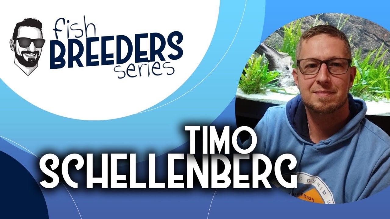 FISH BREEDERS SERIES | Timo Schellenberg