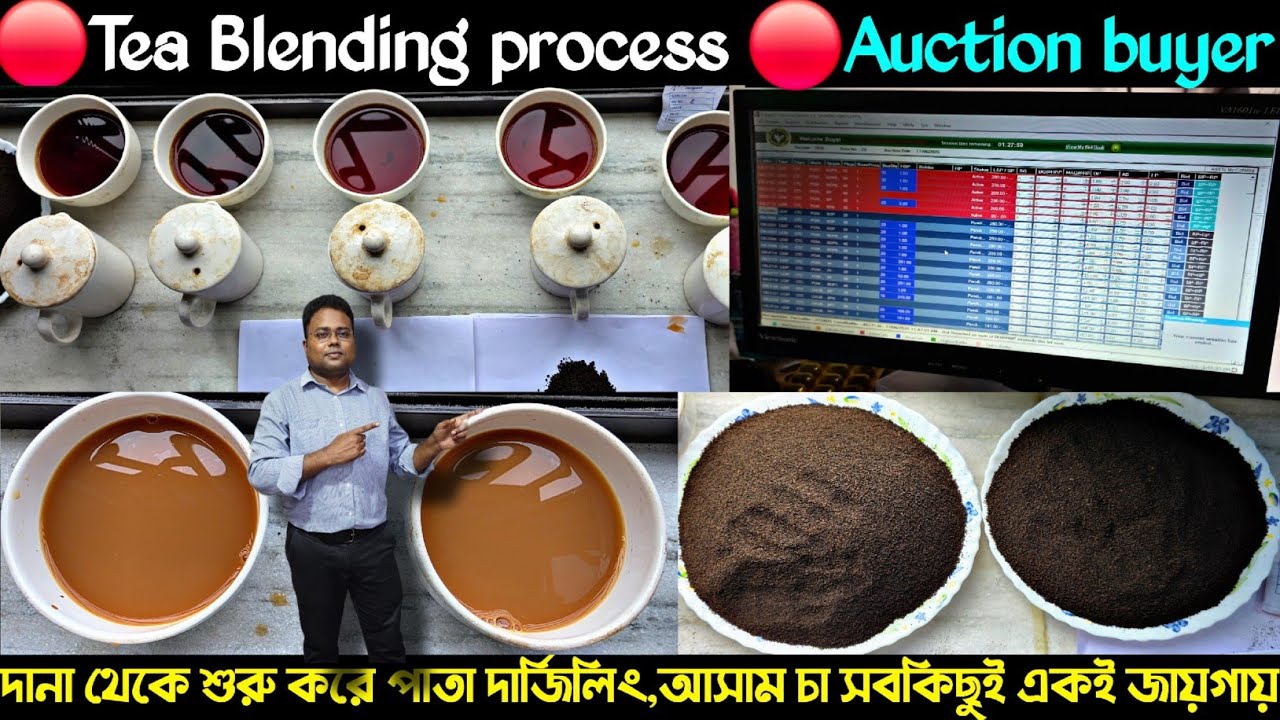 চা হোলসেলার কলকাতা | চা ব্যবসার আইডিয়া | Tea wholesaler in Kolkata| Auction tea buyers