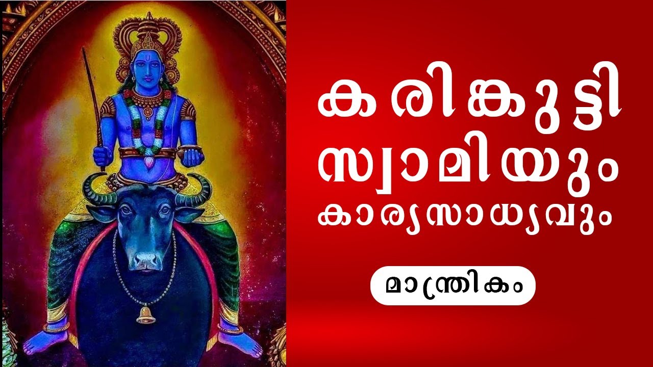 കരിങ്കുട്ടി സ്വാമിയും സേവയും തിരിച്ചടികളും |The Most Powerful ചാത്തൻ 🔥