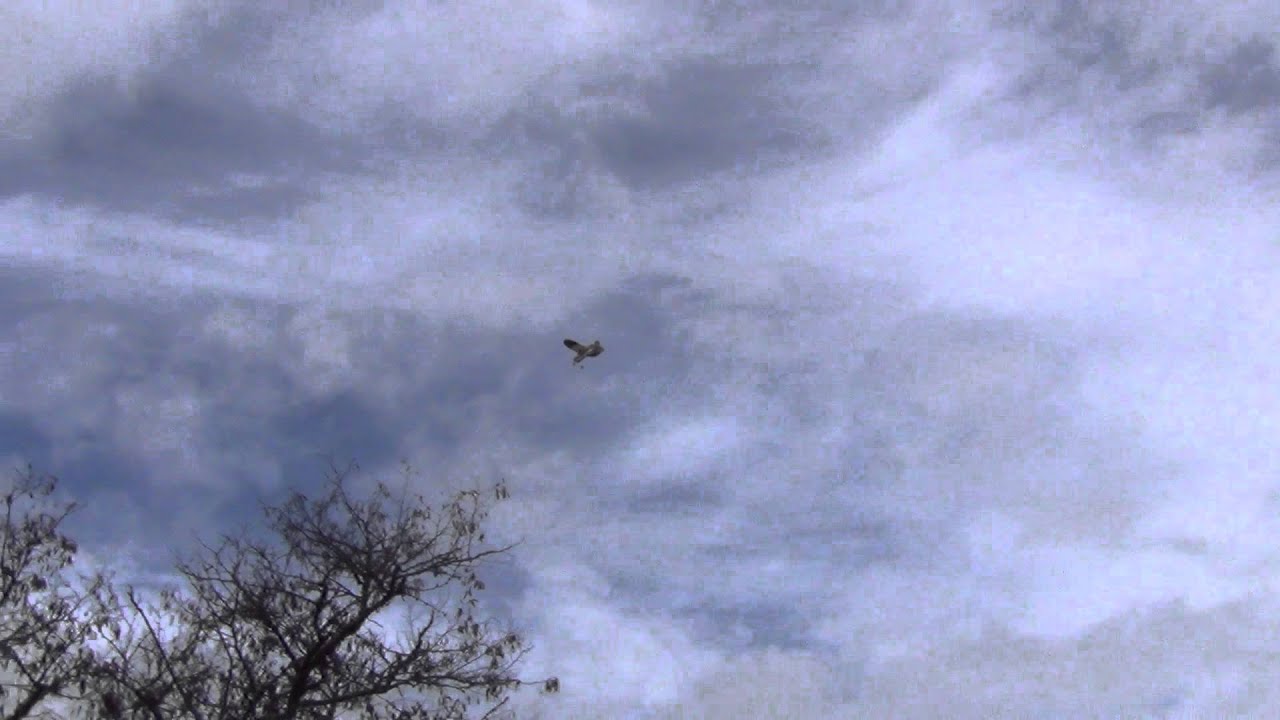 Old Fogey Scratch Built RC Plane