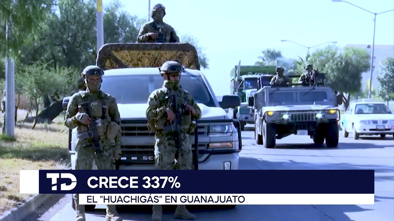 CRECE 337% EL 