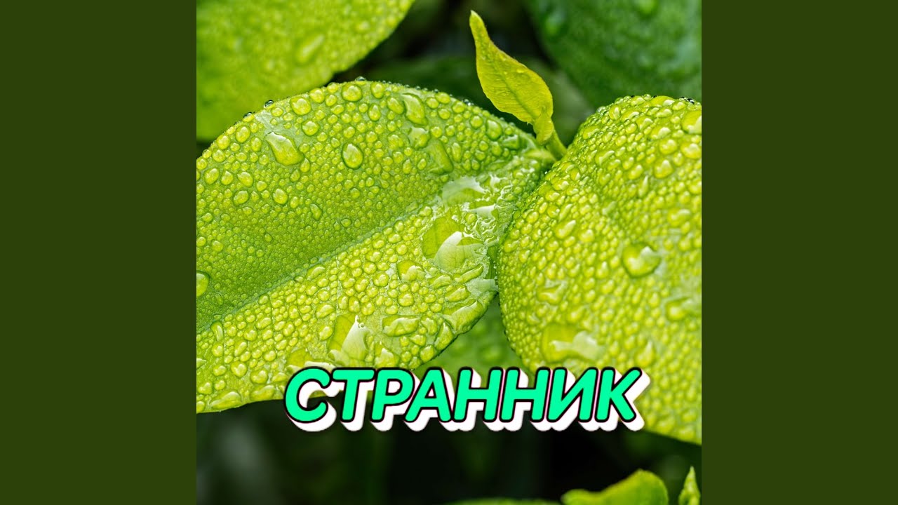 СТРАННИК