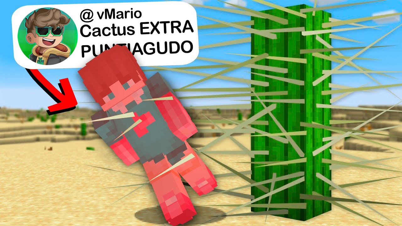 Contraté a Desarrollador Profesional para Arruinar mi Servidor de Minecraft
