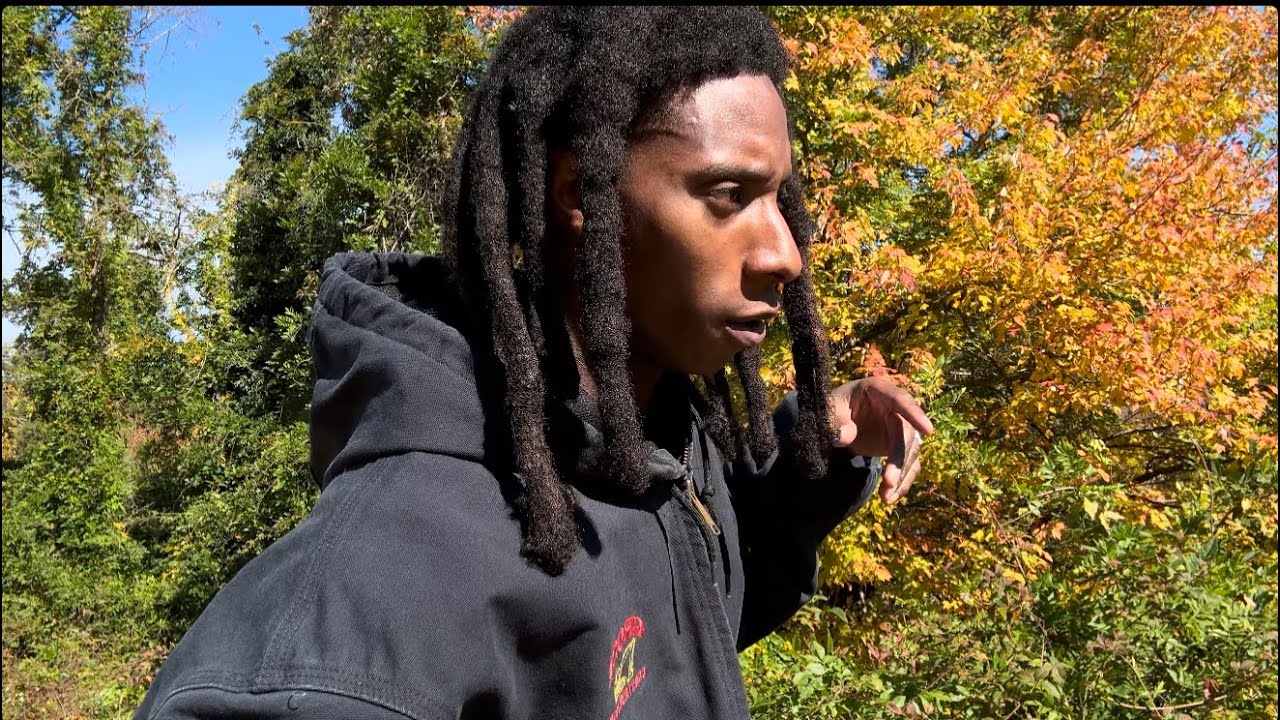 FREEFORM LOCS: MY DAY 1 TILL NOW !! Nature , what motivated me to start , what I&rsquo;ve learned 