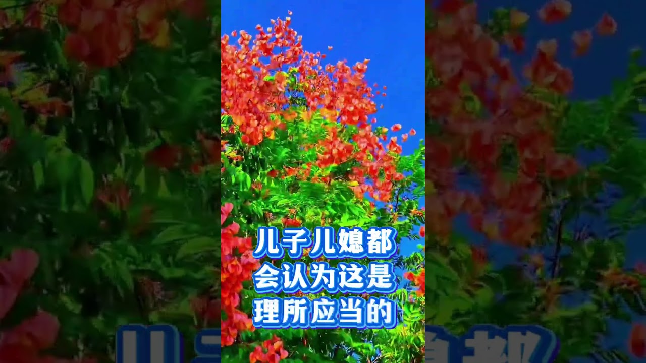 #关爱老人 #晚年生活 #百善孝为先 #老人的晚年生活