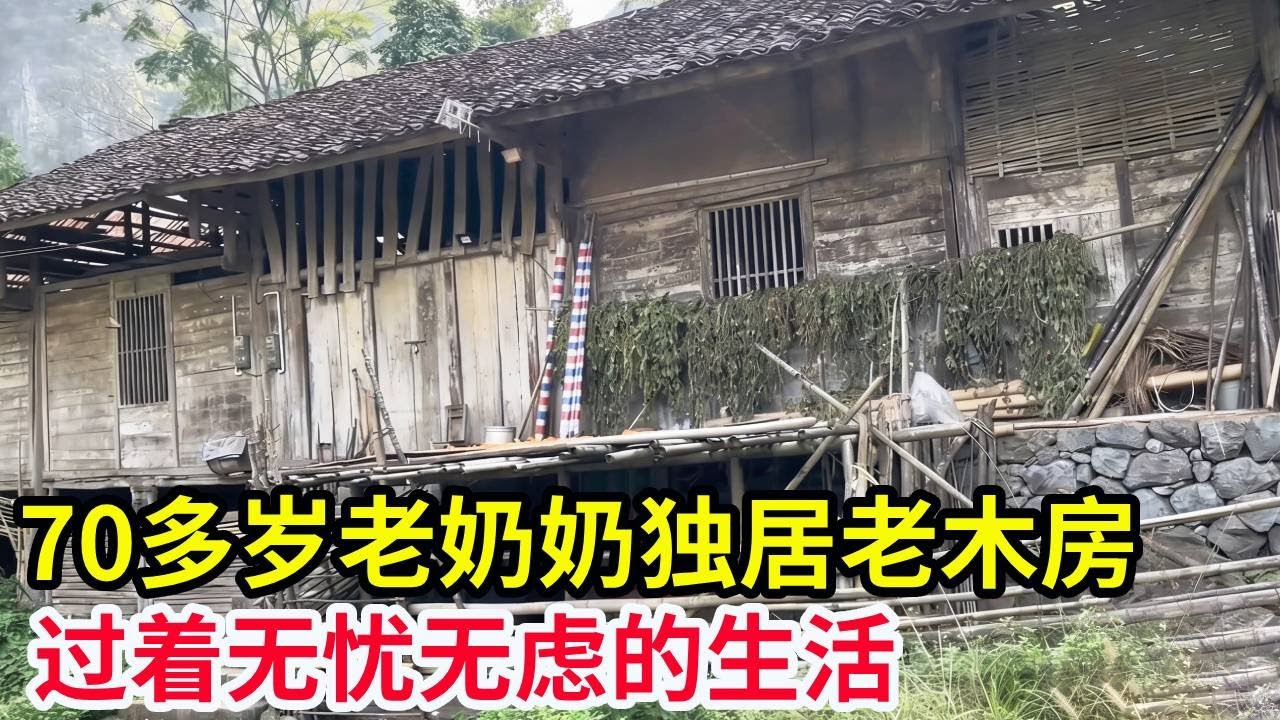 100公里去深山收土猪，70多岁老奶奶独居老木房，一个人过着无忧无虑的生活！【山农乐哥】