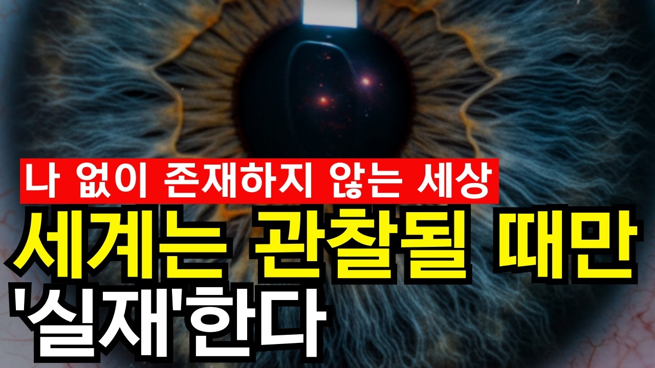 세계는 관찰될 때만 실재한다 | 양자물리학과 불교가 동시에 내놓은 충격적인 답