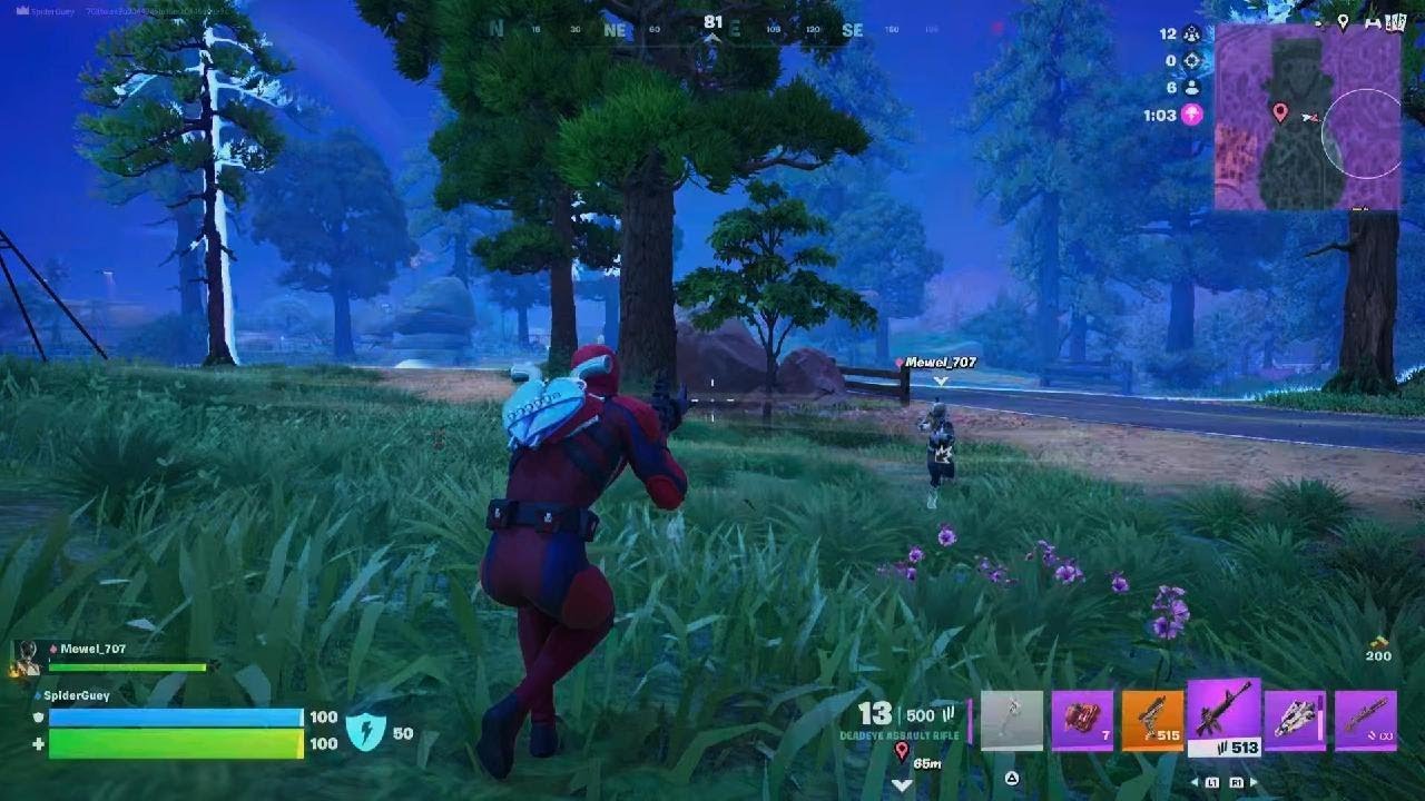 Fortnite_20251229160940