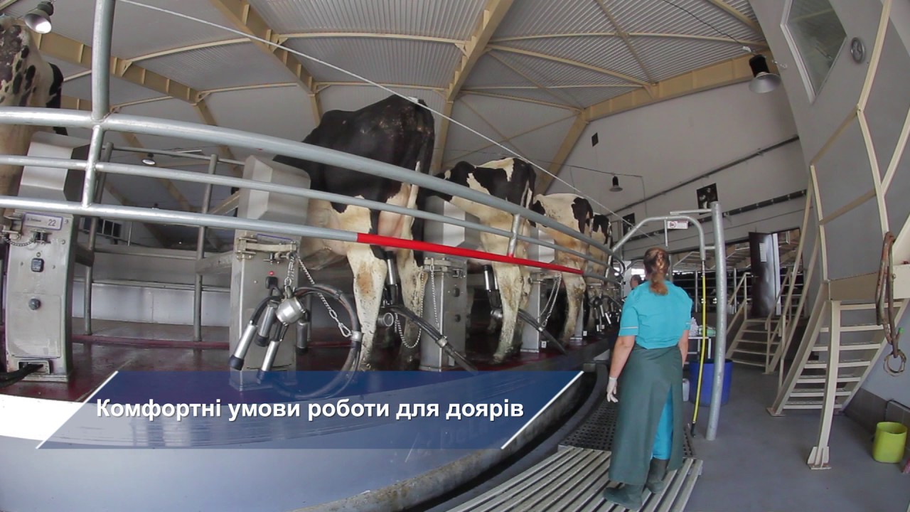 «Проминь», Николаевская обл, Украина