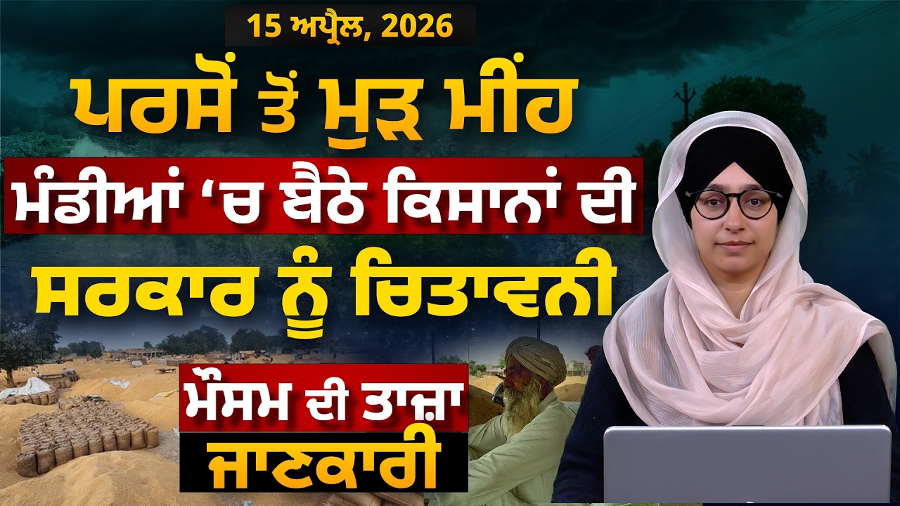 WEATHER REPORT | Punjab-Himachal Weather Forecast l 15 APRIL । THE KHALAS TV