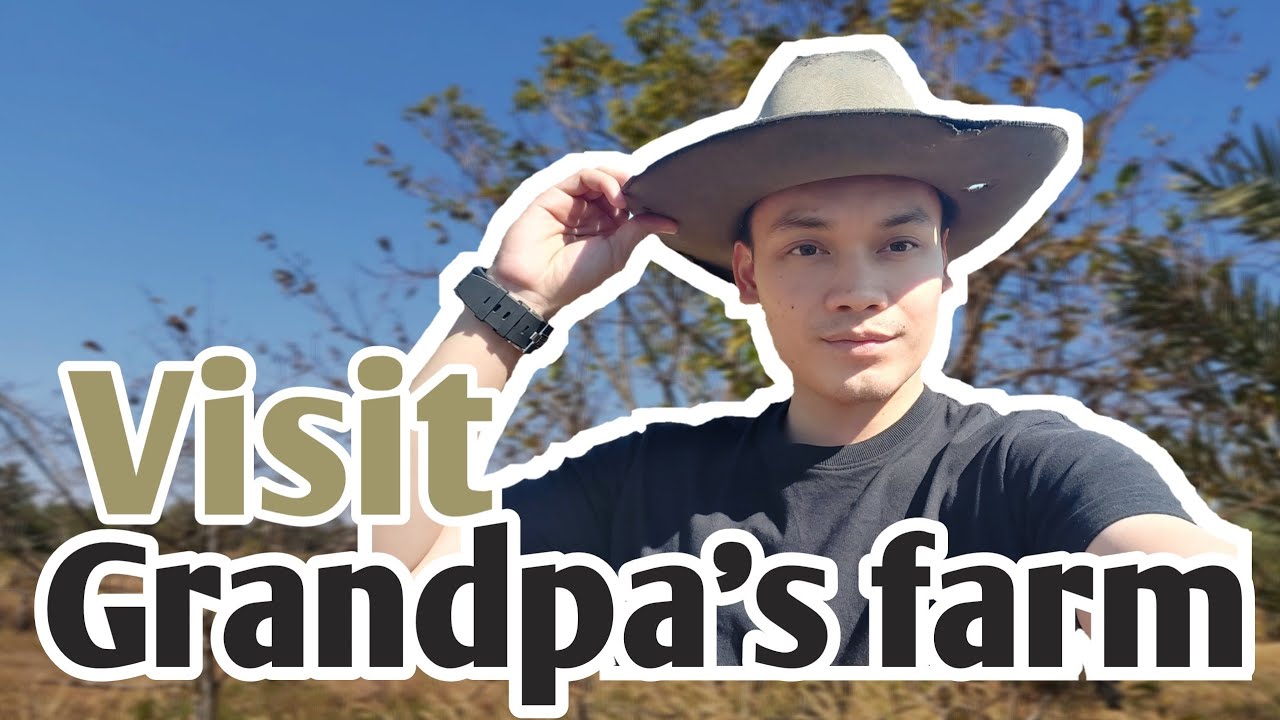 Visit grandpa's farm