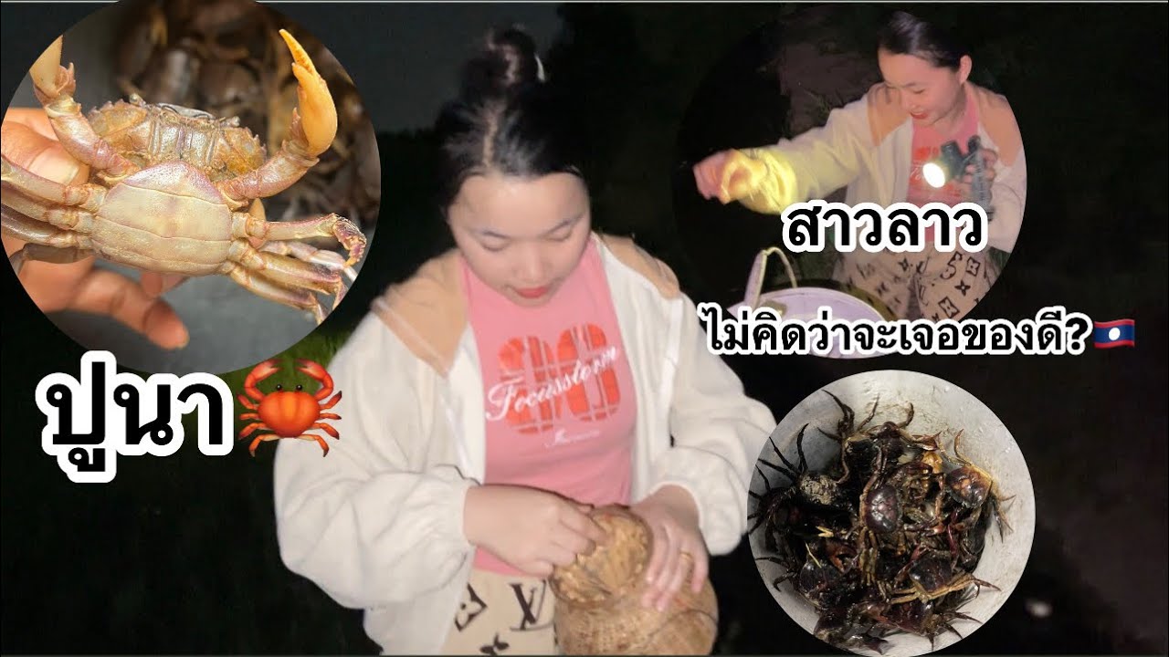 สาวลาว🇱🇦ไปจับปูนา🦀 แต่เกีด￼อะไรขึ้นกับน้องฮันนี่? #สาวภูไทย 