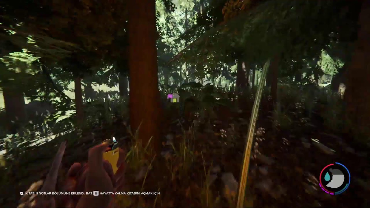 The Forest'ı bitiriyoruz 😨