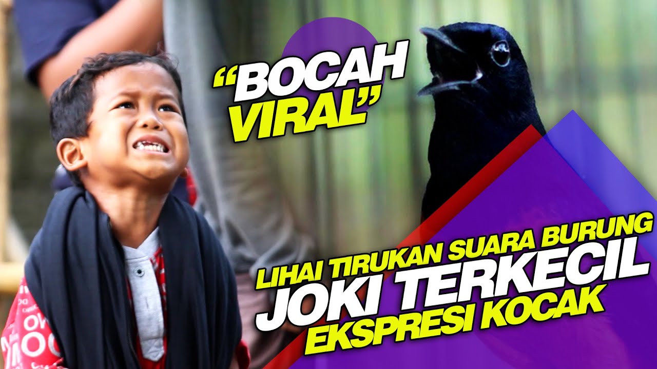 BOCAH VIRAL, Peniru Suara Burung Sekaligus Joki Terkecil Lomba Burung Berkicau