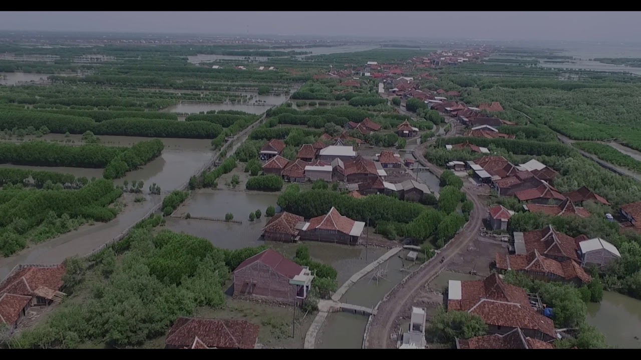 Eye in the sky views of Demak Timbulsloko village (Caf&eacute; Pacific)
