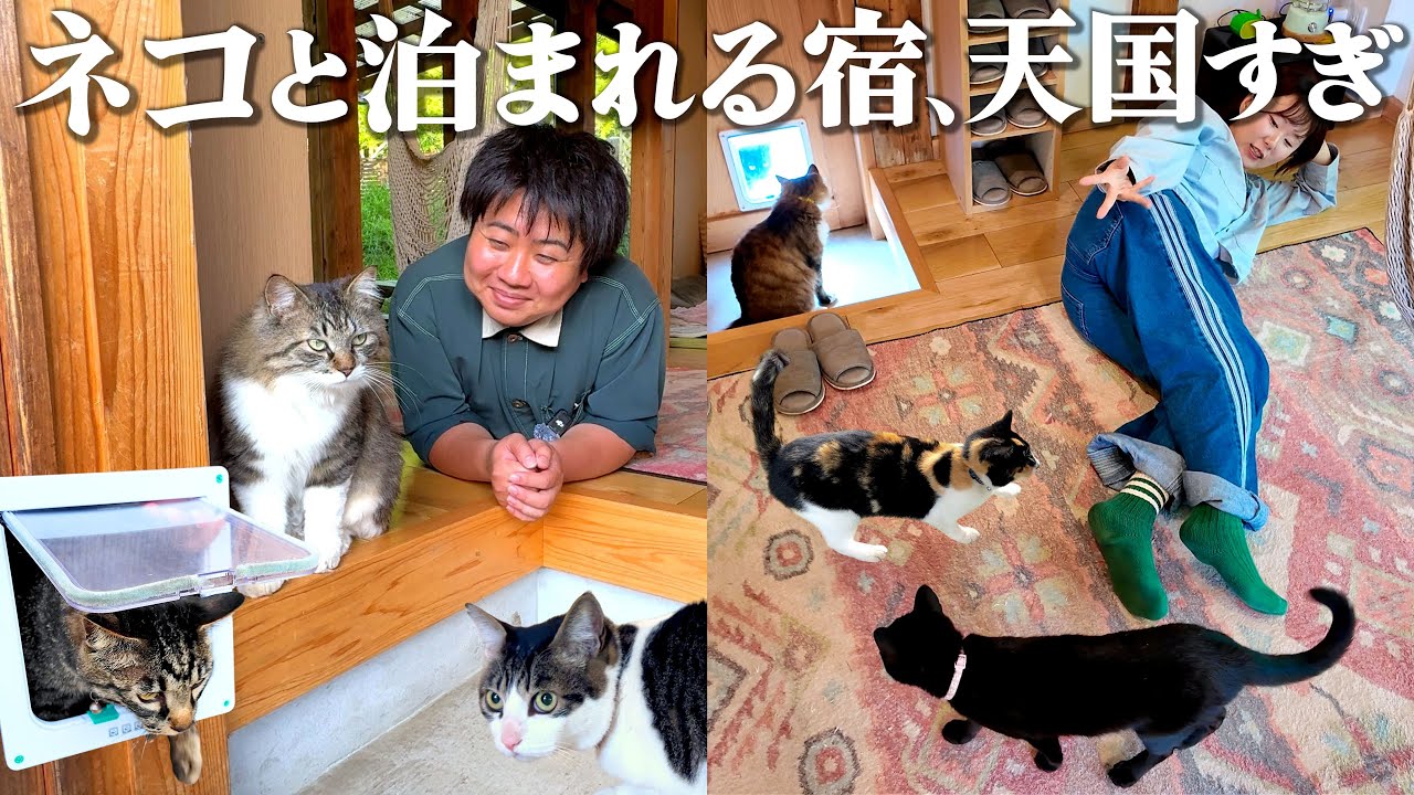 【千葉1泊2日】ネコと泊まれる天国すぎる宿。道の駅に寄り道ドライブする癒やし旅