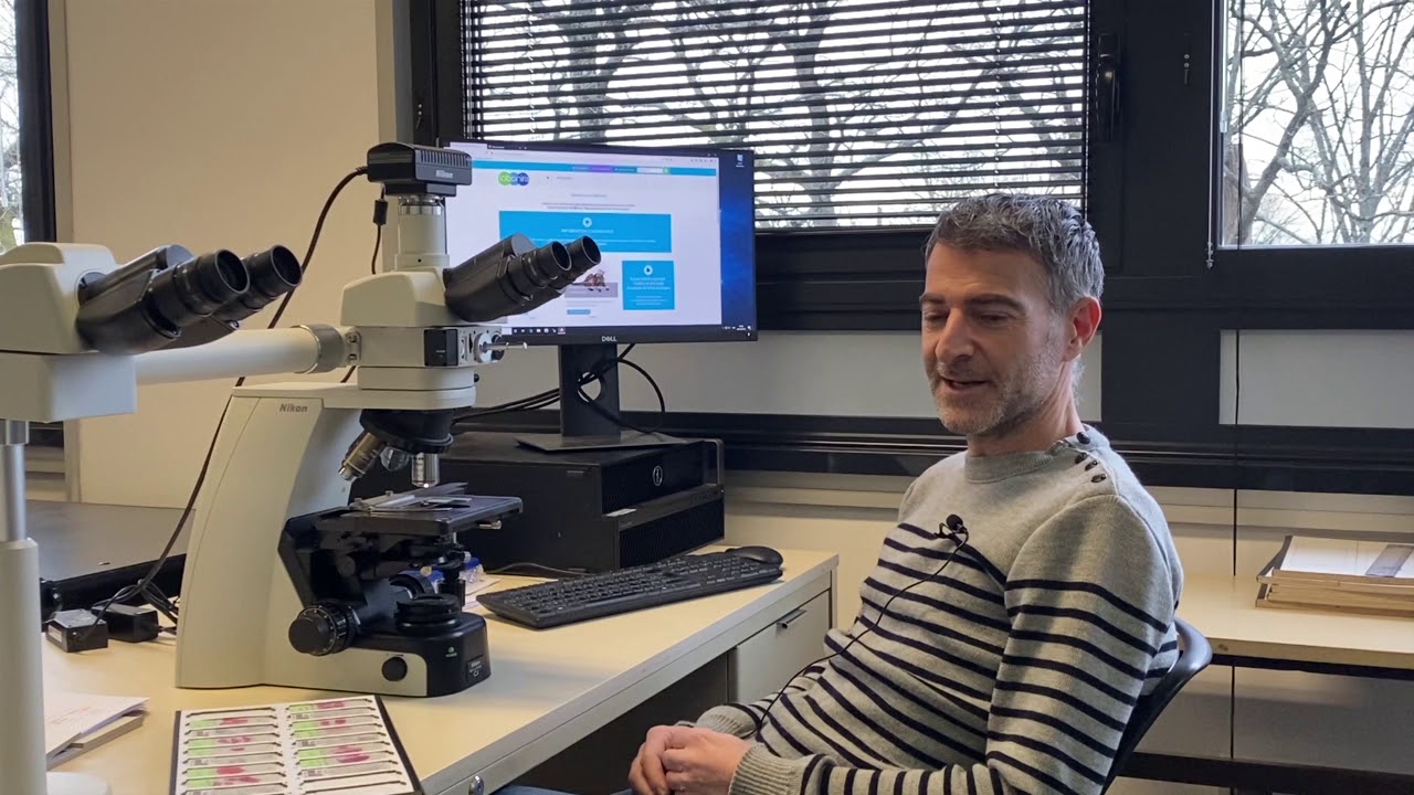 3' LabO - Introduction à l'immunohistochimie