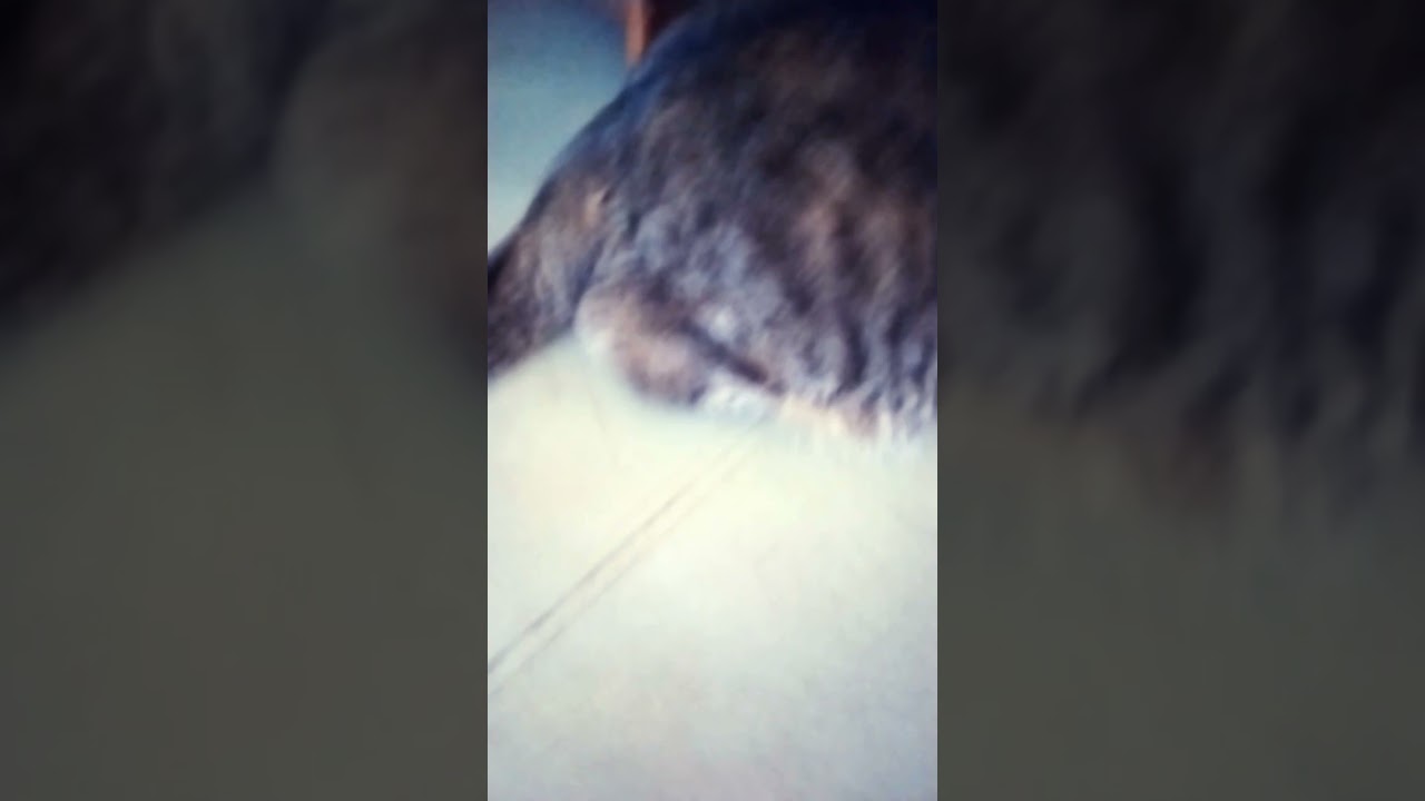 #music