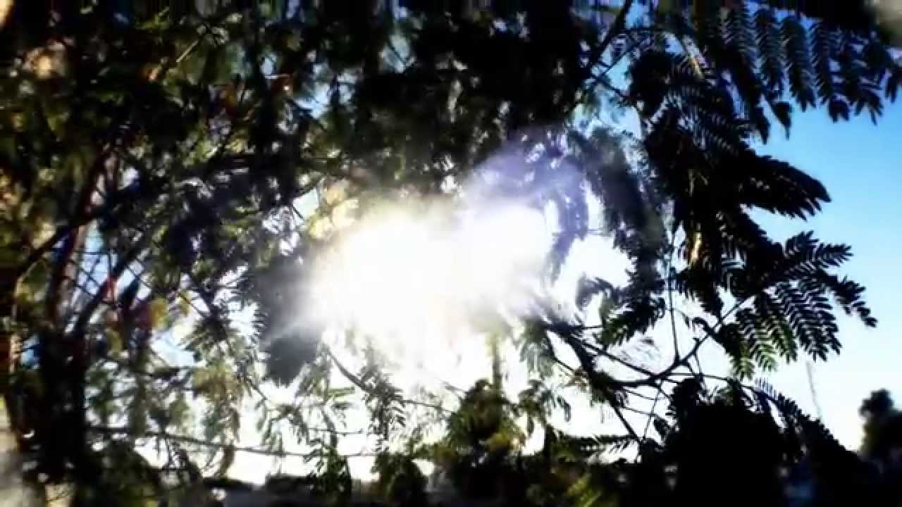 New-2015-- Chicano Rap-N.O.L.A.G-Brown Shady-Official MusicVideo
