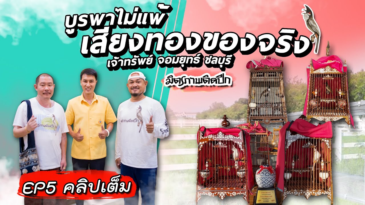 [ คลิปเต็ม EP5 ] คุณปี๊บ เจ้าทรัพย์ จอมยุทธ์ ชลบุรี l