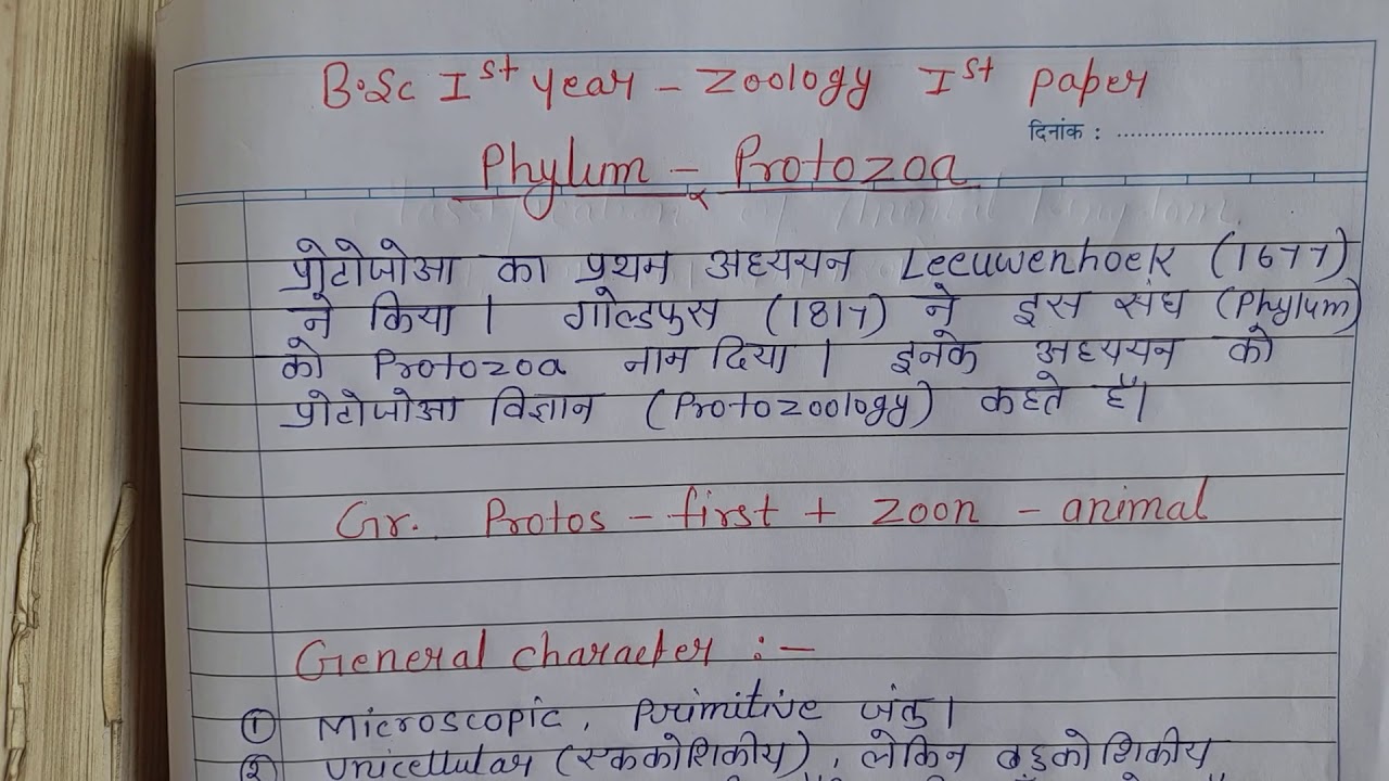 General characteristics  of phylum protozoa(B.sc 1st year)