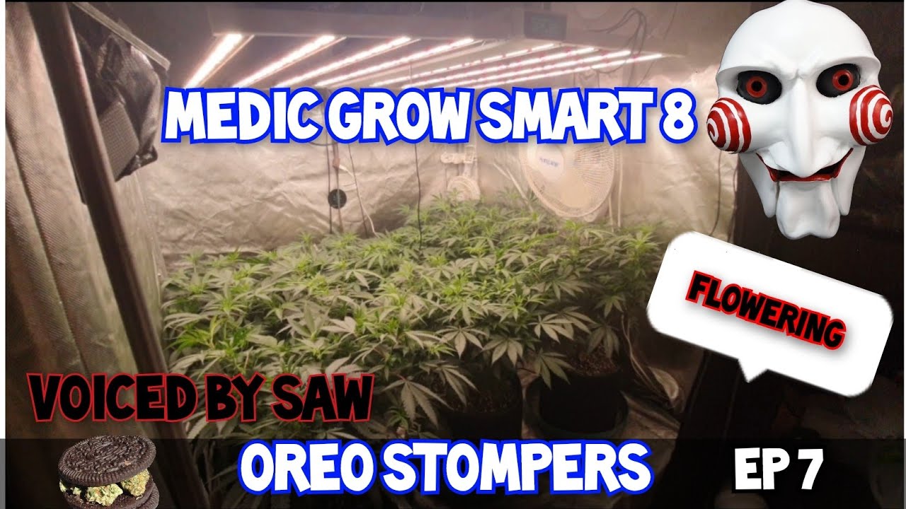 Medic Grow Smart 8 - Ep7 Fliping to Flower. medic Grow sale code HWGG