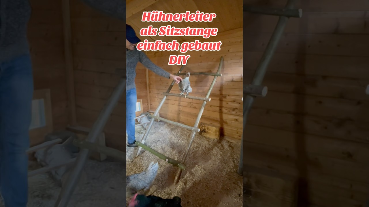 H&uuml;hnerleiter als Sitzstange einfach selber bauen DIY #h&uuml;hnerhaltung #handwerk #diy #h&uuml;hnerliebe