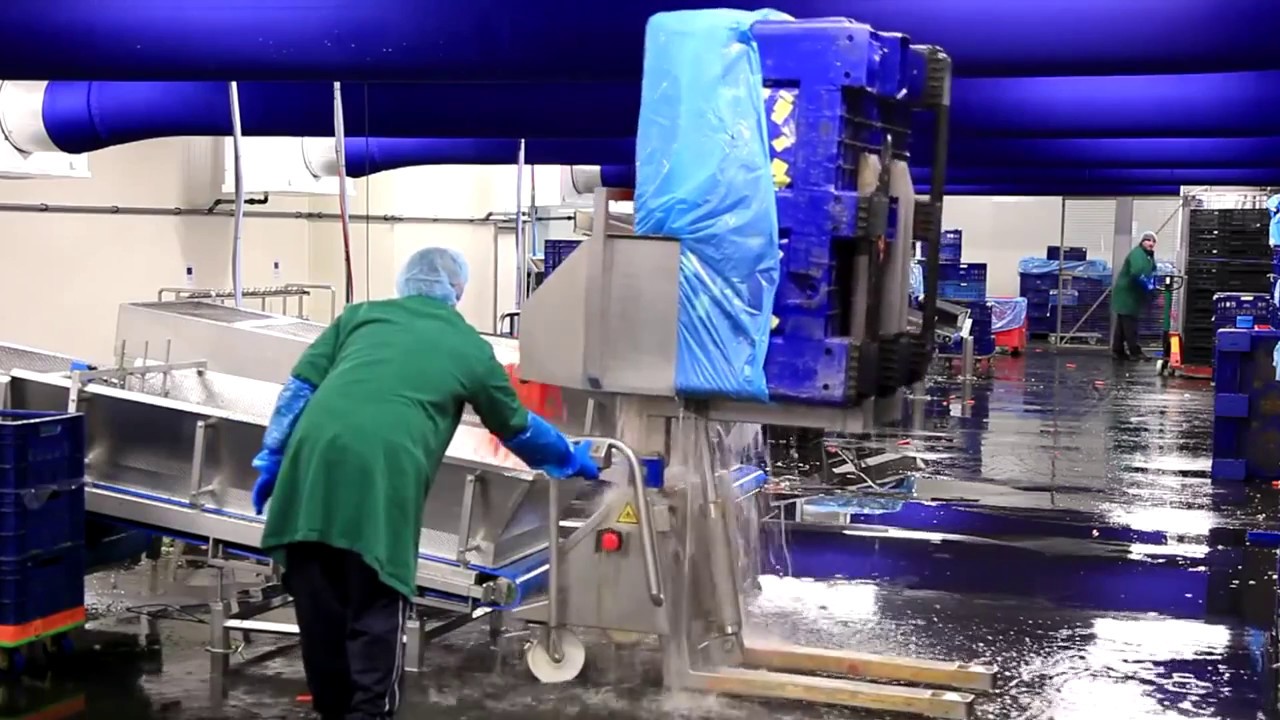 Carrello ribaltatore per bins