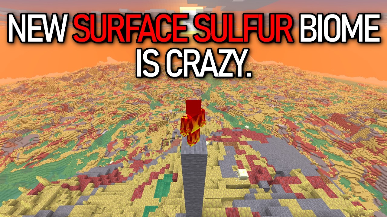 NEW 