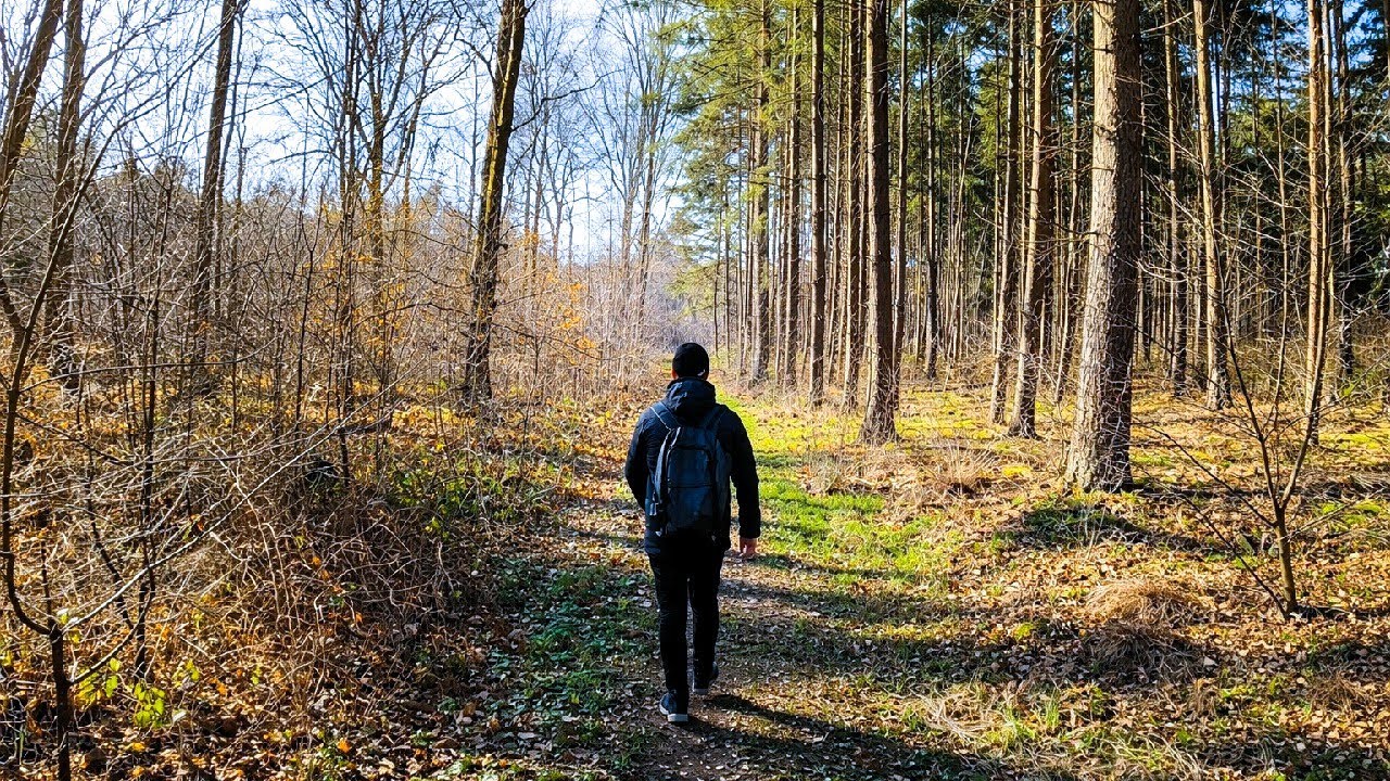 *HIKING* Weekly Walks - Doetinchem (Solo Hiking Through The Kruisbergse Forest)