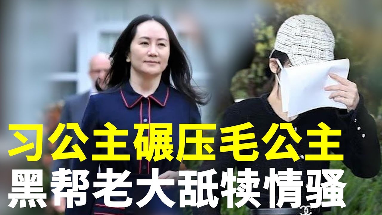 （更新版）杨兰兰是习兰兰，不是公主也是格格，一逃跑，实锤了，不然彭麻麻辟个谣呗！孟晚舟是毛泽东与孟锦云的私生女，和任正非没一毛钱关系。习大大救孟晚舟，毛公主凯旋 感人 【大谎】 001