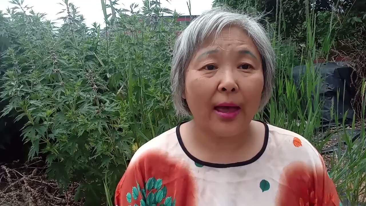 在加拿大你请客不一定你出钱
