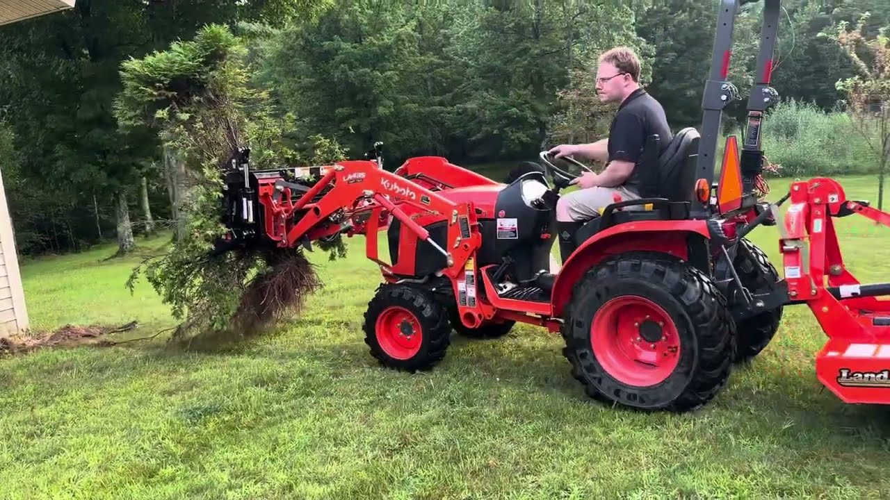 Kubota B2601 removing shrubs with the grapple