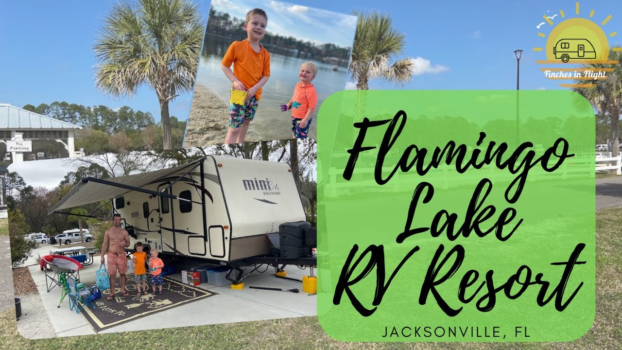 Flamingo Lake RV Resort, Jacksonville Florida - Campground Tour