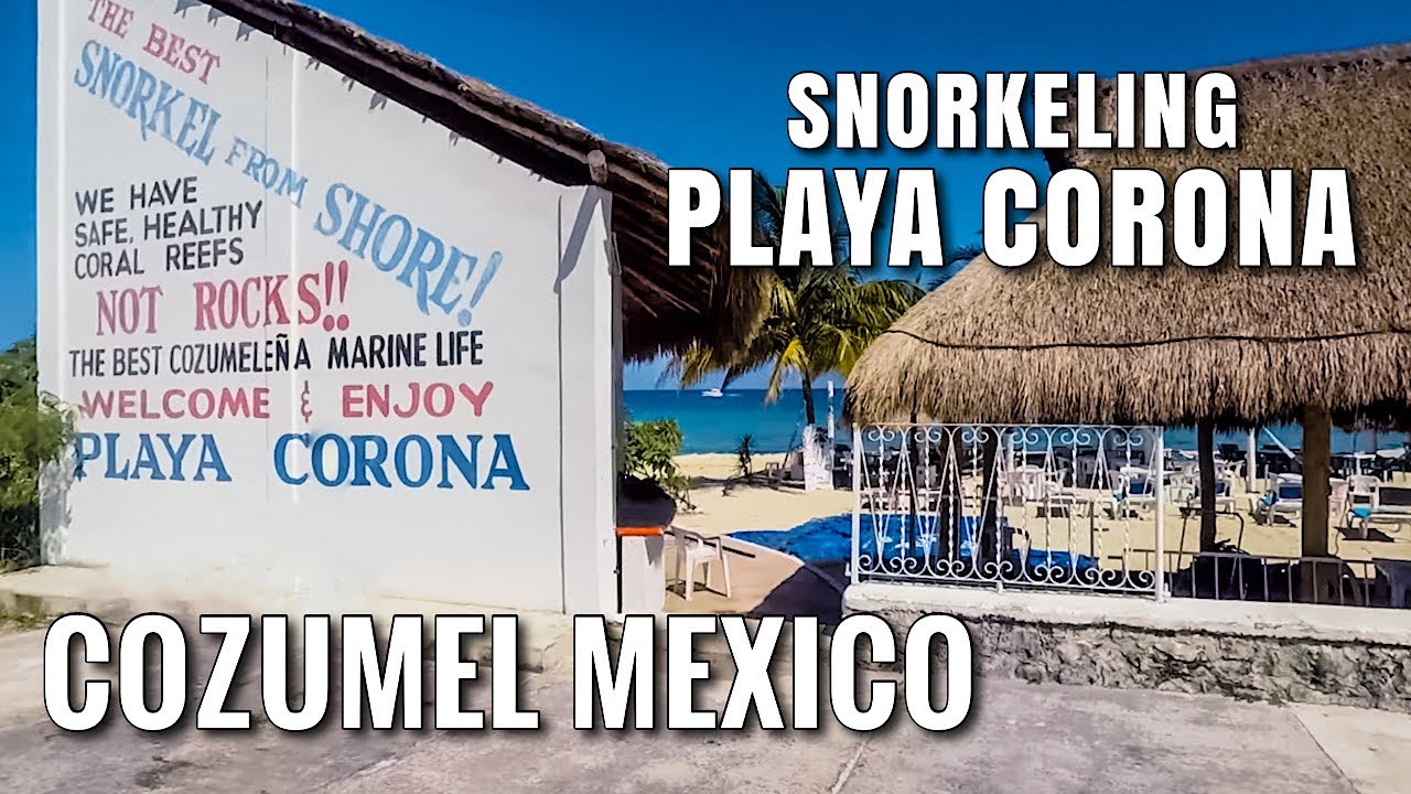 Snorkeling COZUMEL, MEXICO Playa Corona