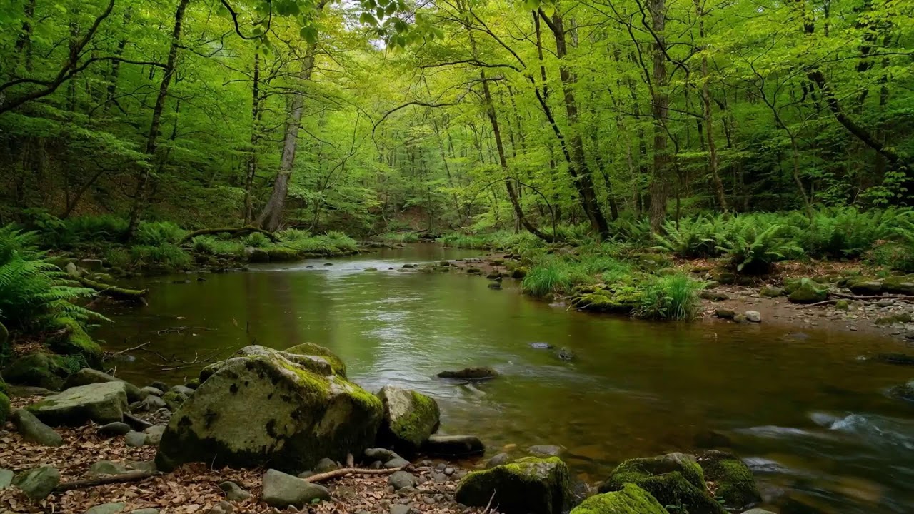 INSTANT PEACE: 8 Hours of Music That Melts Away Stress & Anxiety | Deep Sleep Aid & Focus