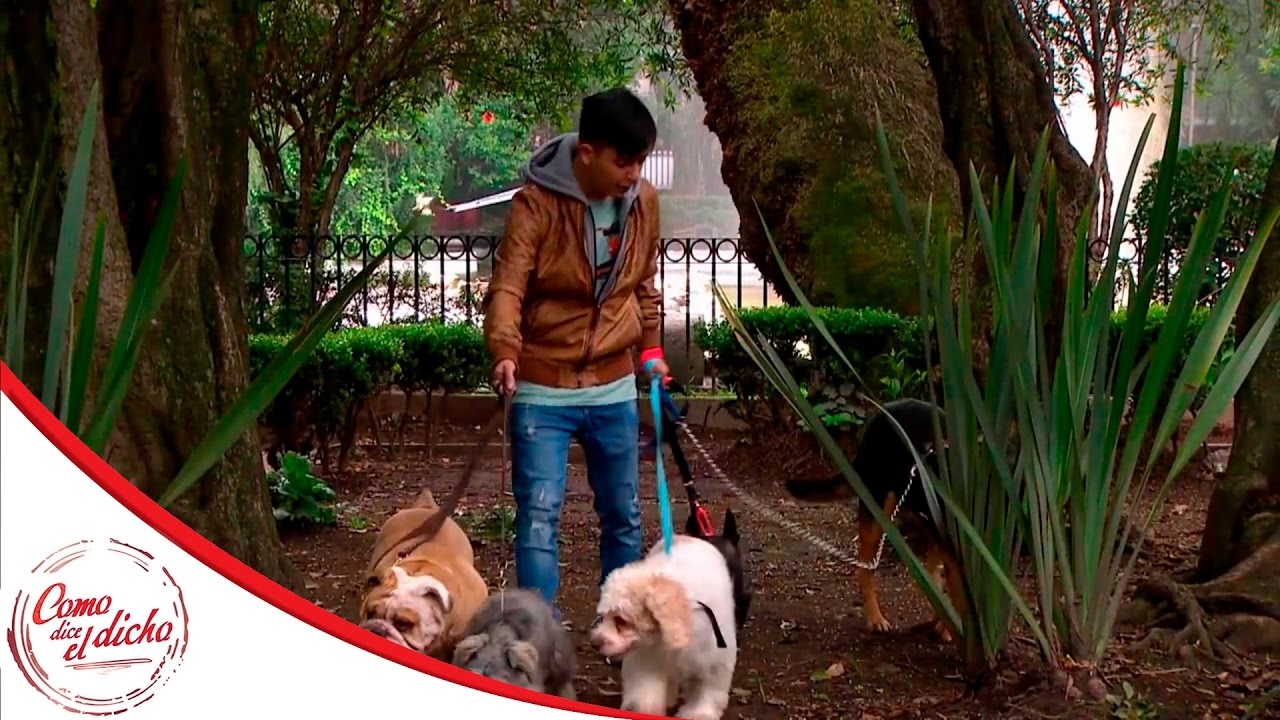 Memín es asaltado | Quien da pan a perro ajeno... | Como dice el dicho