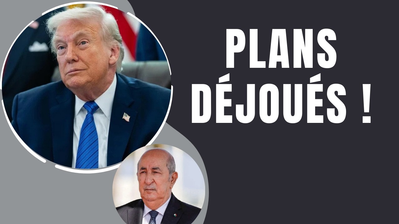 Levée des sanctions : l’Algérie marque les esprits face aux États-Unis au Congrès