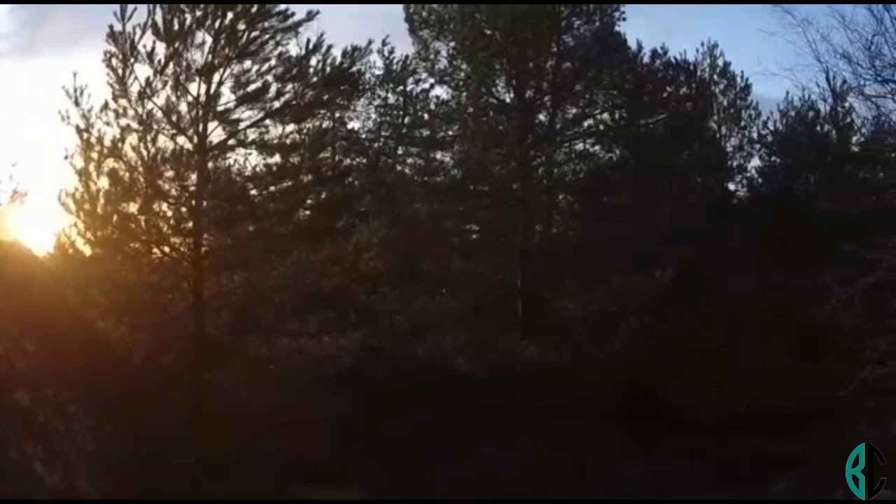 Peter Pan (7a)