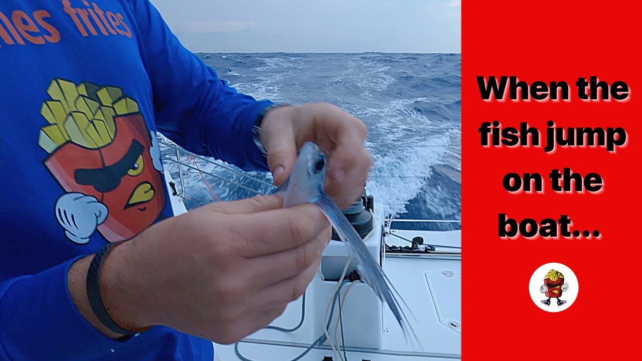 The Crossing | Flying Fish + Bathing on a Boat