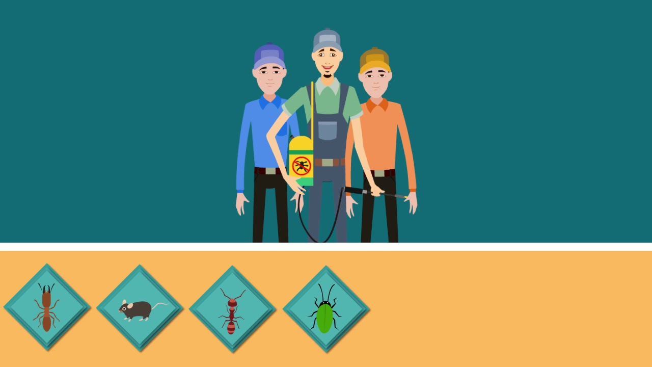 Best pest control tempe az - (888) 504-4737 pest control - reviews - gilbert, arizona - pest control