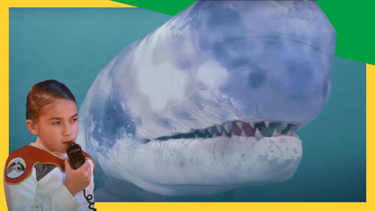 🦈 Livyatan Vs. Megalodon 🐋 ! The Ultimate Battle of Two Ancient Sea Giants! ⚔️🦖 | @DinoKids