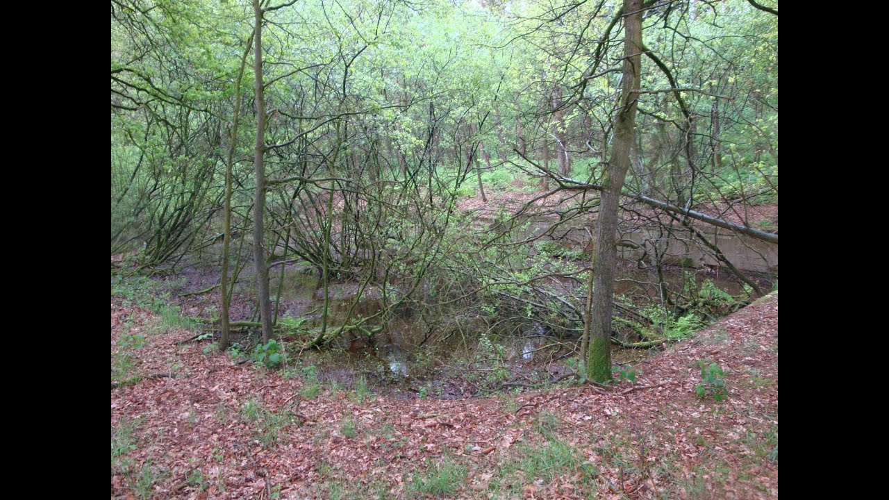 WW2 Relikte Teil 43 : LOST PLACES Schwimmbad der Wehrmacht  ( WK2, Geheime Orte, Vergessene Orte )