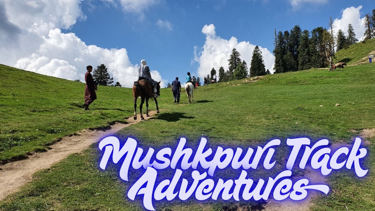 Mushkpuri Track Nathiagali |Best Place In Nathiagali |Ayubia Hiking Tour |Murree Tour 2026 |Risky ?