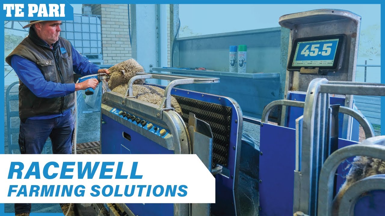 Smarter Farming Solutions | Racewell Sheep Handler