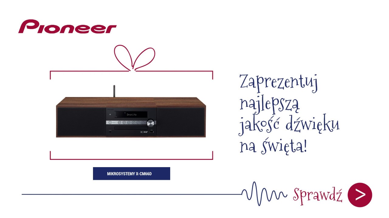 Pioneer X-CM66D