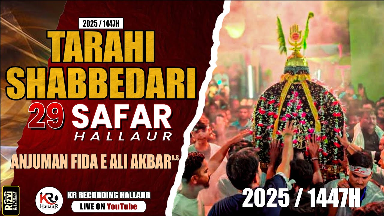 🔴Live Tarahi Shabbedari | Anjuman Fida E Ali Akbar Hallaur | 29th Safar Chandni Chowk Hallaur 2025