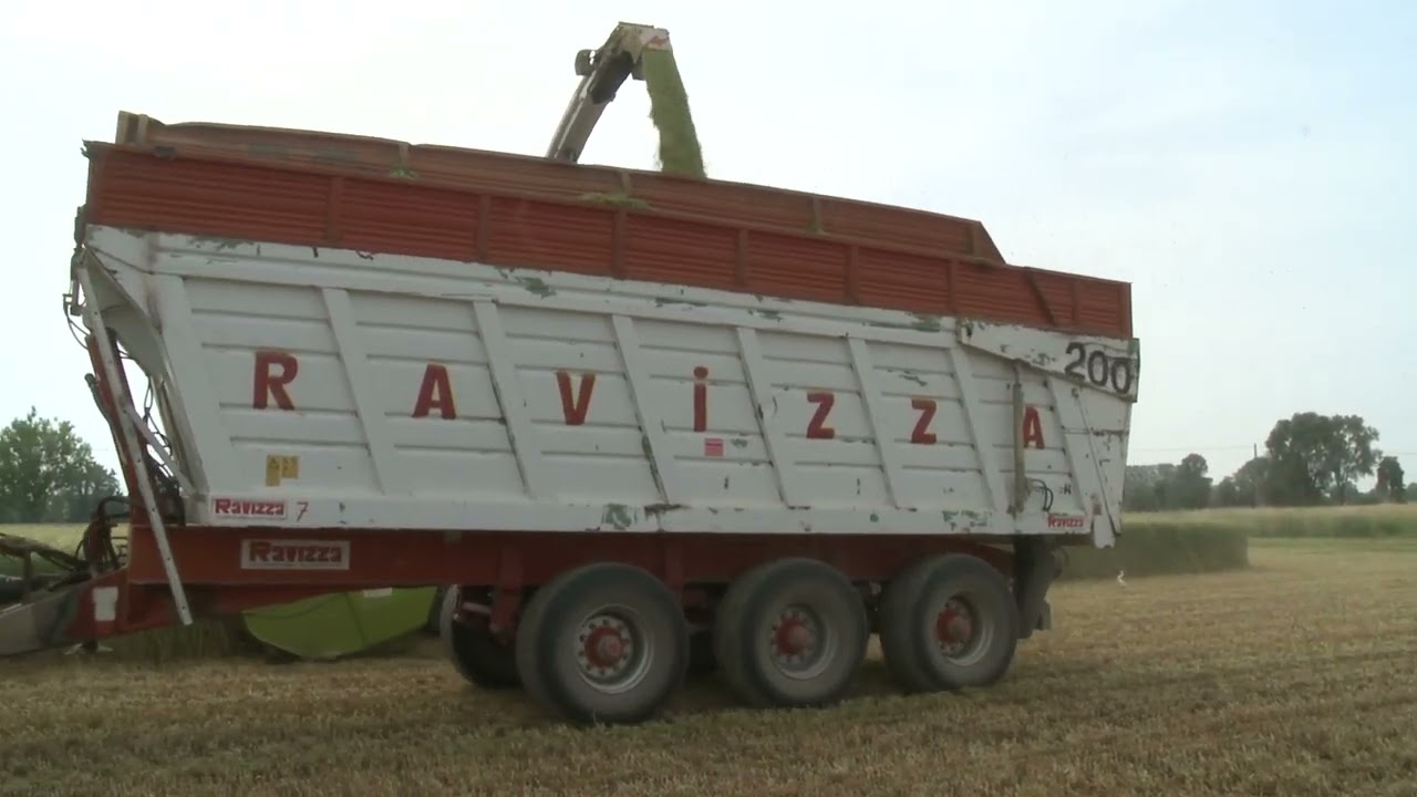 Jaguar 980 Direct-Disc 600 -Axion 830 Bossini Ravizza