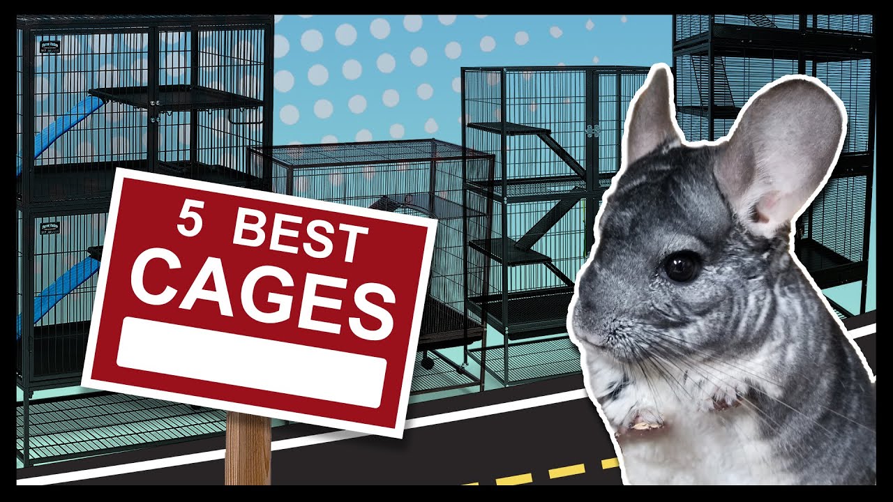 5 ЛУЧШИХ КЛЕТОК ДЛЯ ШИНШИЛЛ | Плюсы и минусы распространенных клеток для шиншилл